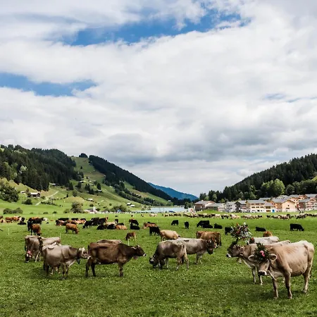 Pradas - 2-5 Premium By Interhome